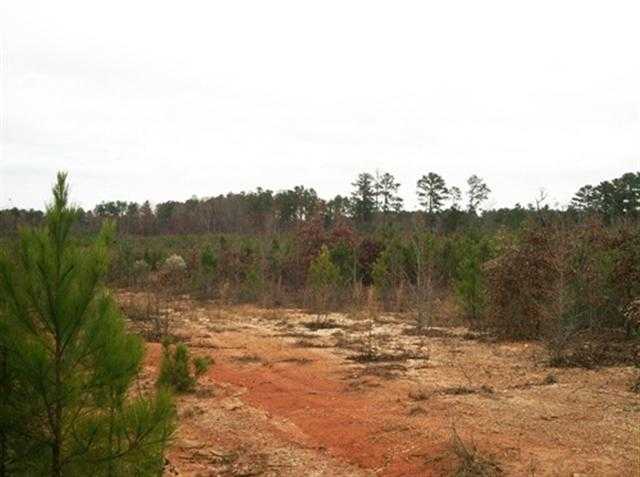 0 Breezewood Road Greenwood, SC 29646 - Photo 4 of 8 Gallery Image 4