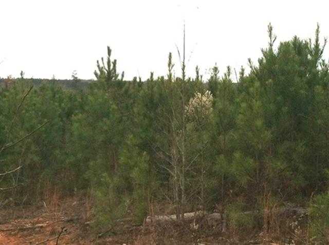 0 Breezewood Road Greenwood, SC 29646 - Photo 5 of 8 Gallery Image 5