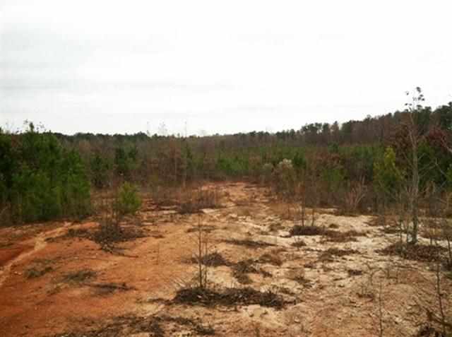 0 Breezewood Road Greenwood, SC 29646 - Photo 6 of 8 Gallery Image 6