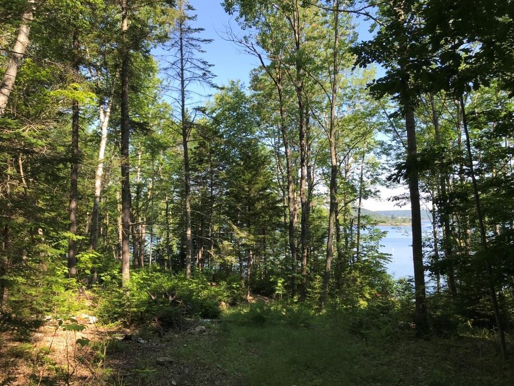 0 Turner Road Seal Cove, ME 04674 - Photo 25 of 41 Photo
