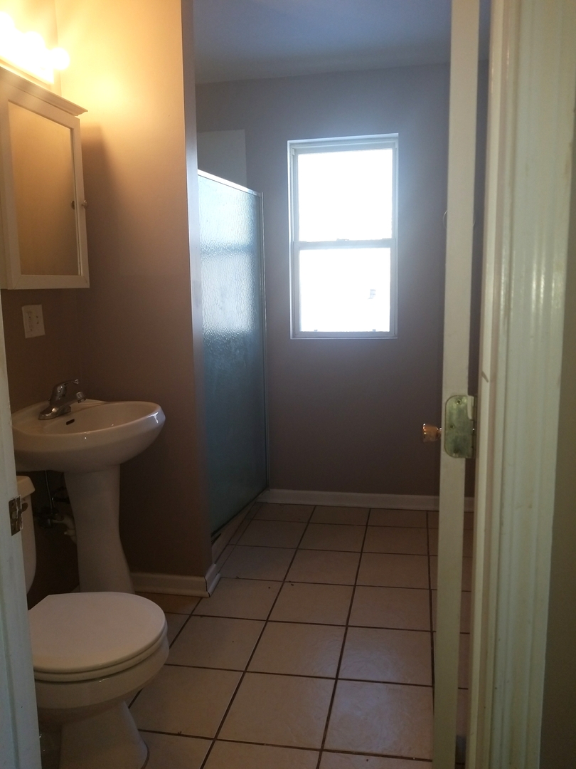 617 Hirsch Avenue Calumet City, IL 60409 - Photo 15 of 18