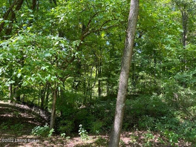 760 Fox Creek Road Pendleton, KY 40055 - Photo 11 of 14 IMG_2632
