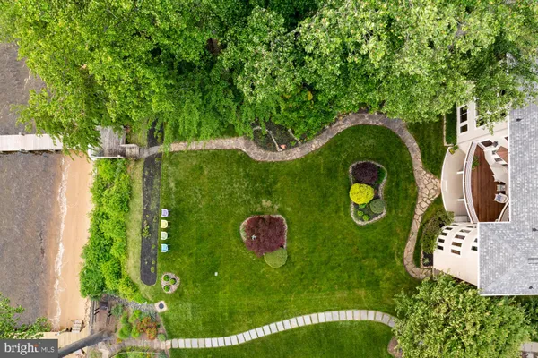 a view of a park with large trees