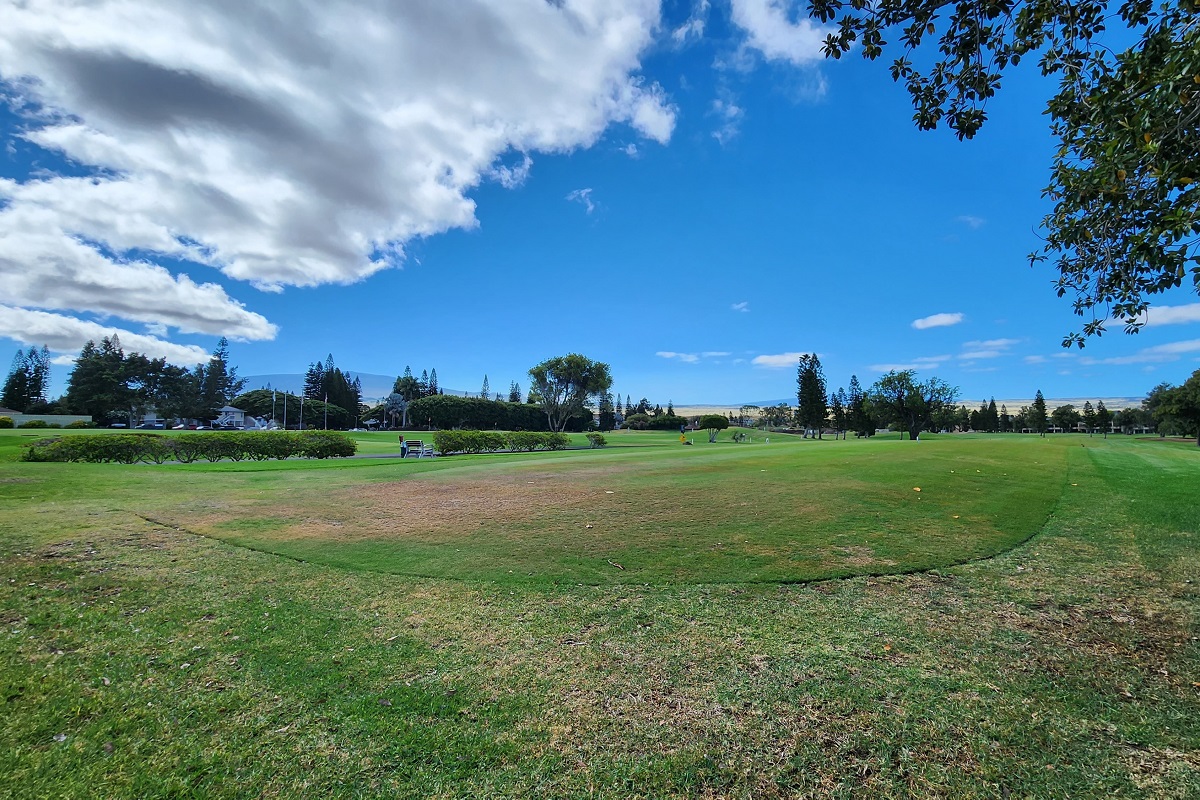 68-3840 Lua Kula Street, Unit D203 Waikoloa, HI 96738 - Photo 28 of 30 a view of field with green space
