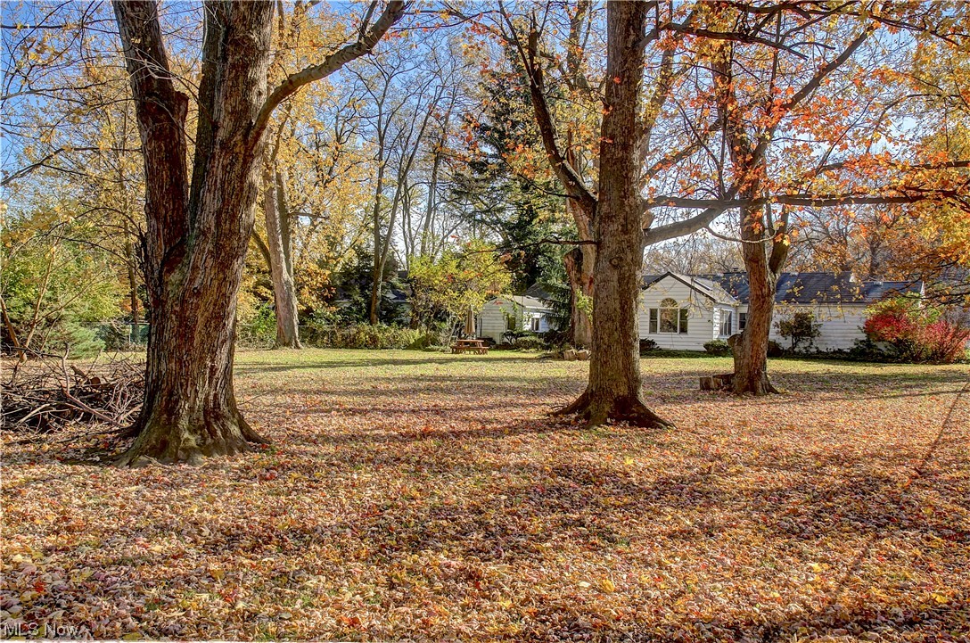20930 Eaton Road Cleveland, OH 44126 - Photo 32 of 33 View of yard