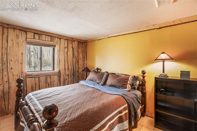 771 Topaz Road Lake George, CO 80827 - Photo 21 of 40 Additional sleeping area in basement.