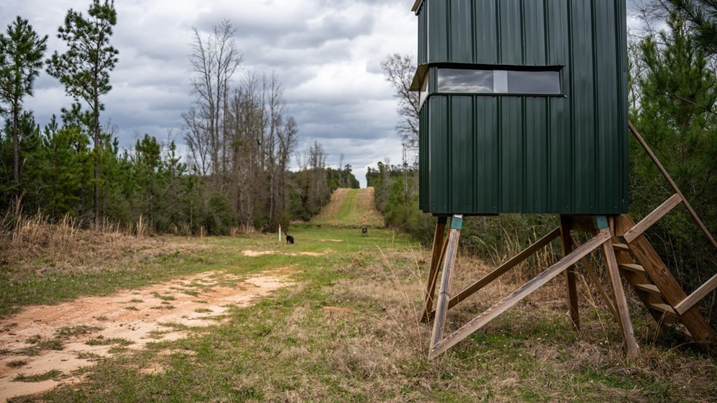 7899 Easley Road Magnolia, MS 39652 - Photo 23 of 48 Photo 23