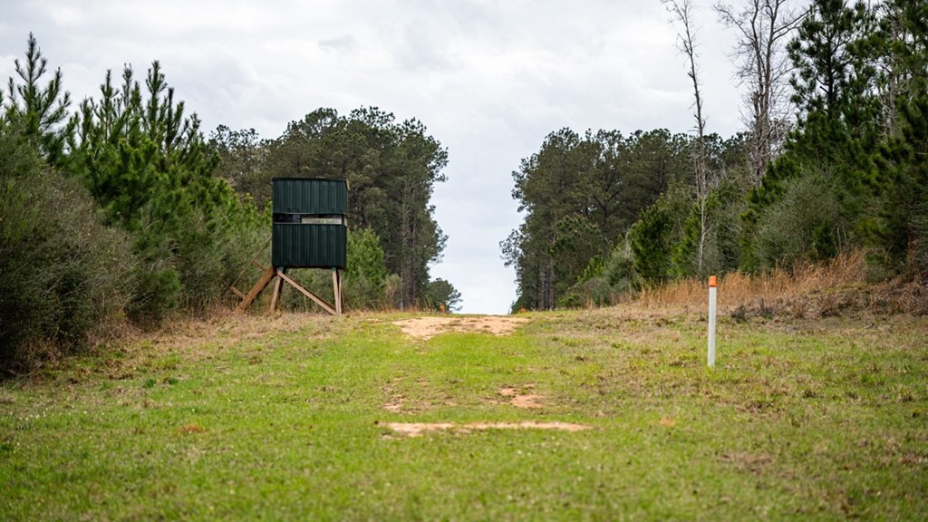 7899 Easley Road Magnolia, MS 39652 - Photo 24 of 48 Photo 24