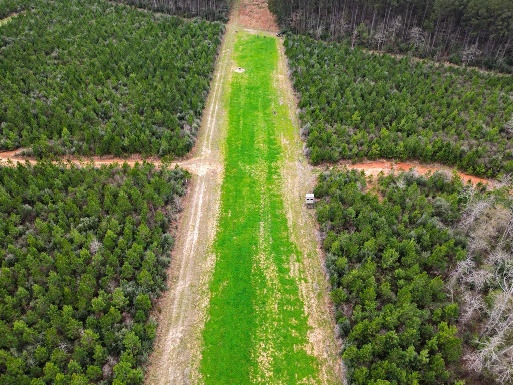 7899 Easley Road Magnolia, MS 39652 - Photo 3 of 48 Photo 3