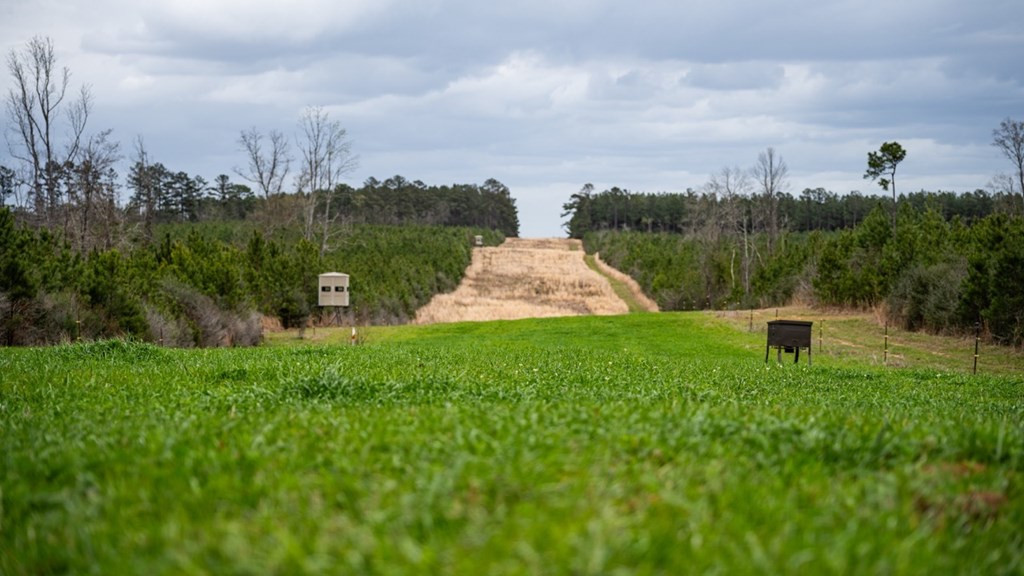 7899 Easley Road Magnolia, MS 39652 - Photo 37 of 48 Photo 37