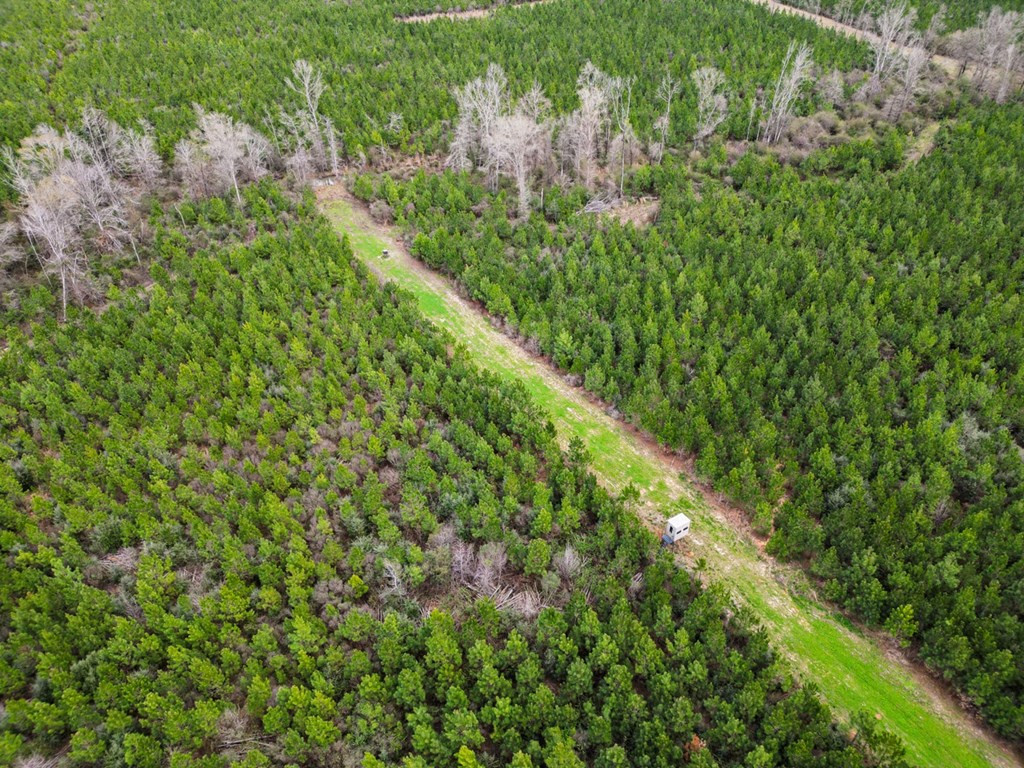 7899 Easley Road Magnolia, MS 39652 - Photo 4 of 48 Photo 4