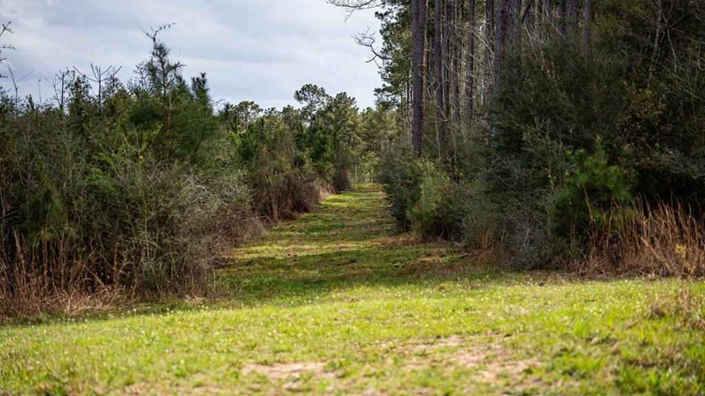 7899 Easley Road Magnolia, MS 39652 - Photo 46 of 48 Photo 46
