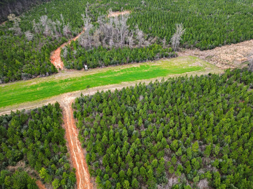 7899 Easley Road Magnolia, MS 39652 - Photo 5 of 48 Photo 5