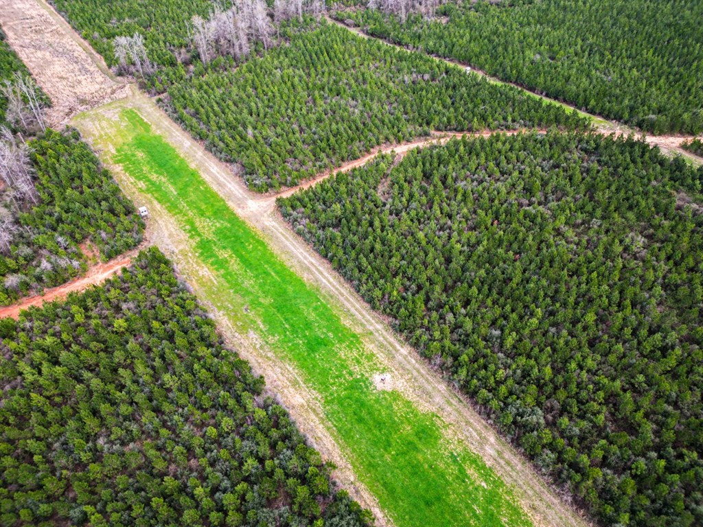 7899 Easley Road Magnolia, MS 39652 - Photo 6 of 48 Photo 6