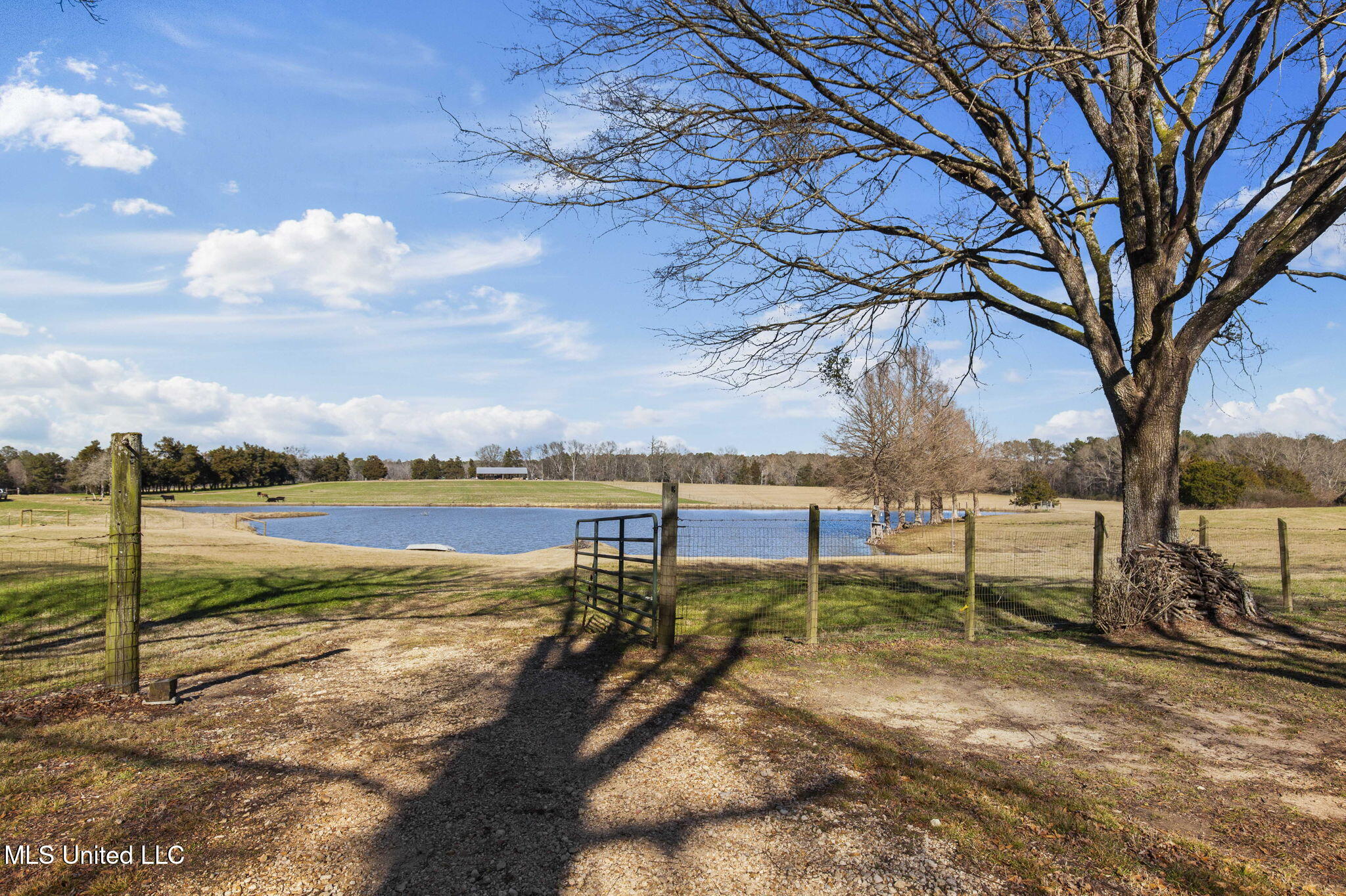 914 Ratliff Ferry Road Canton, MS 39046 - Photo 54 of 105 View of Lake