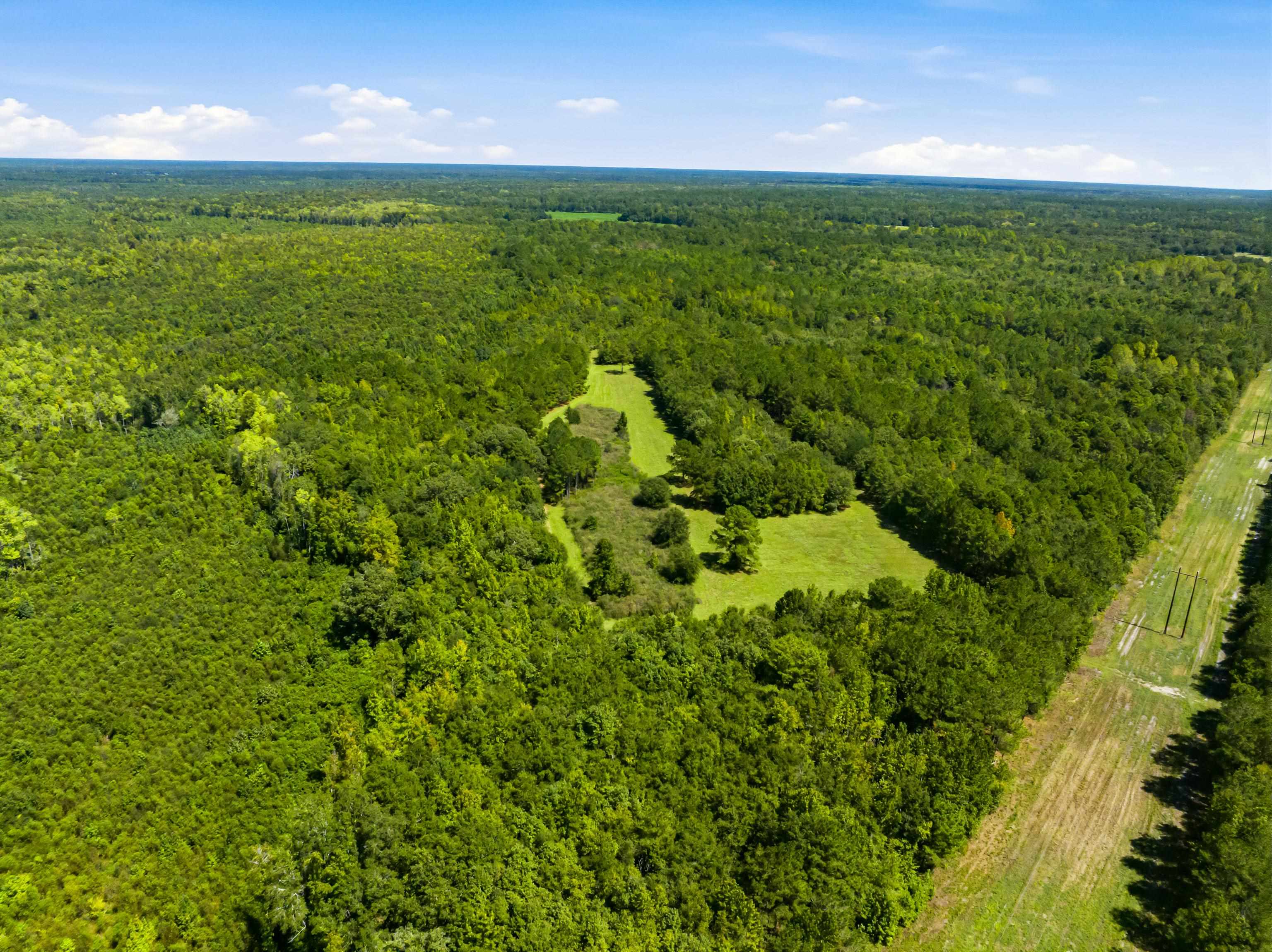 1569 Dave Plowden Pond Road Manning, SC 29102 - Photo 18 of 92 Gallery Image 18