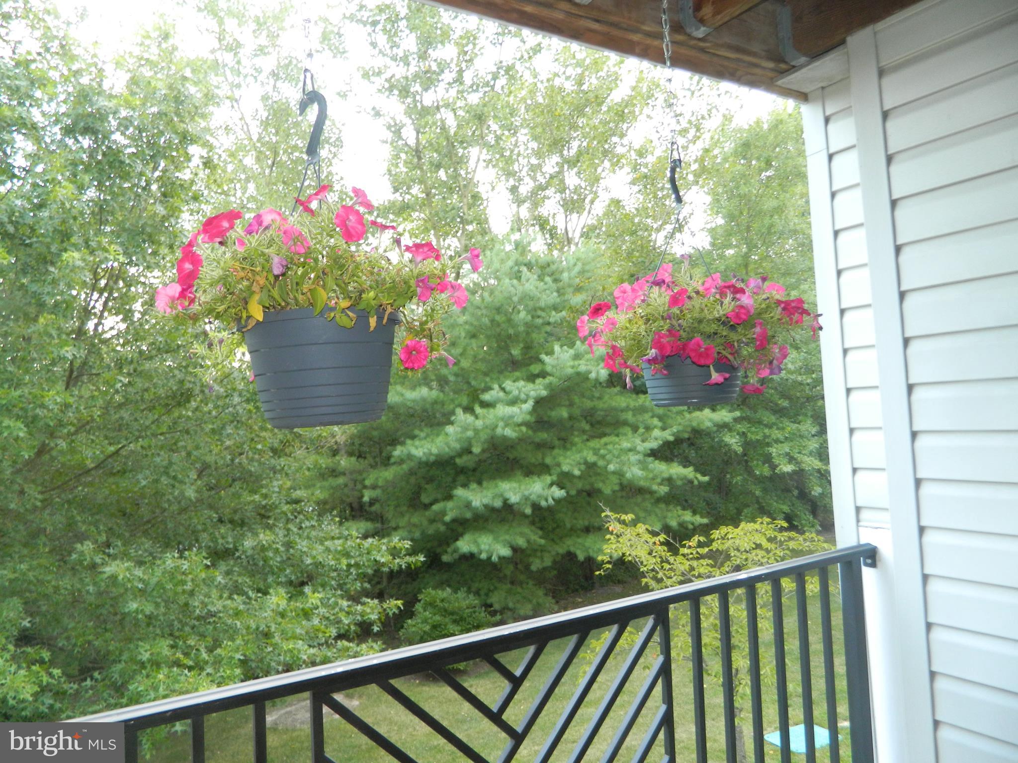 8253 Poplar Mill Road, Unit 8253 Baltimore, MD 21236 - Photo 30 of 34 Backing to trees/association to replace railing