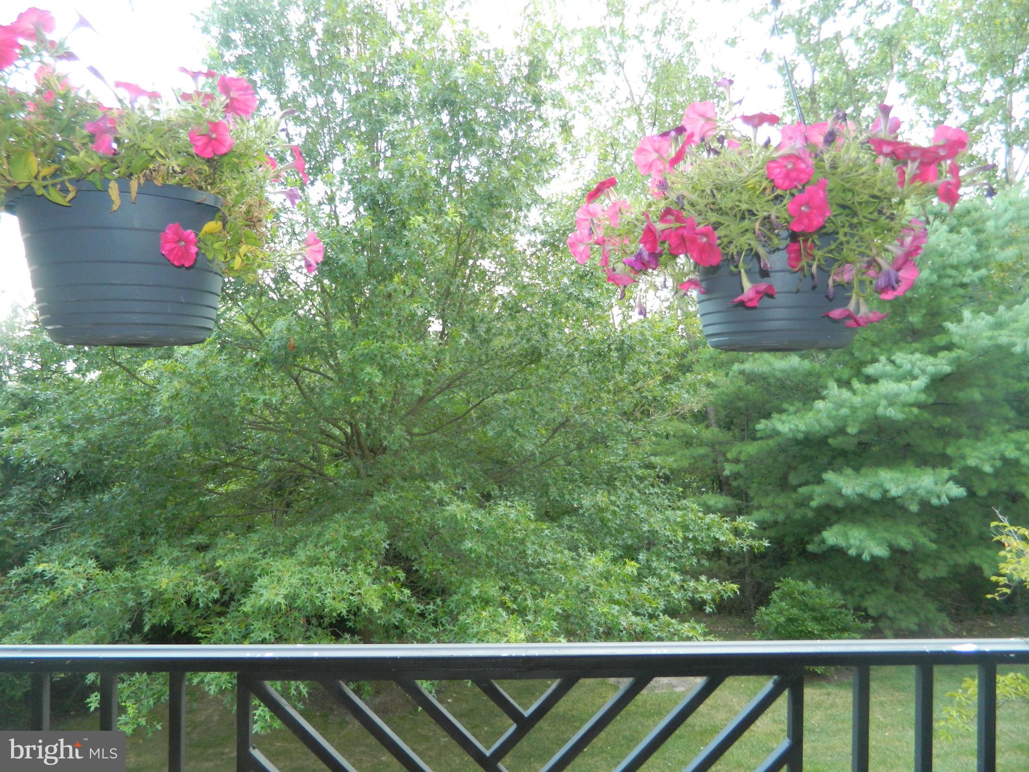 8253 Poplar Mill Road, Unit 8253 Baltimore, MD 21236 - Photo 31 of 34 Pretty view