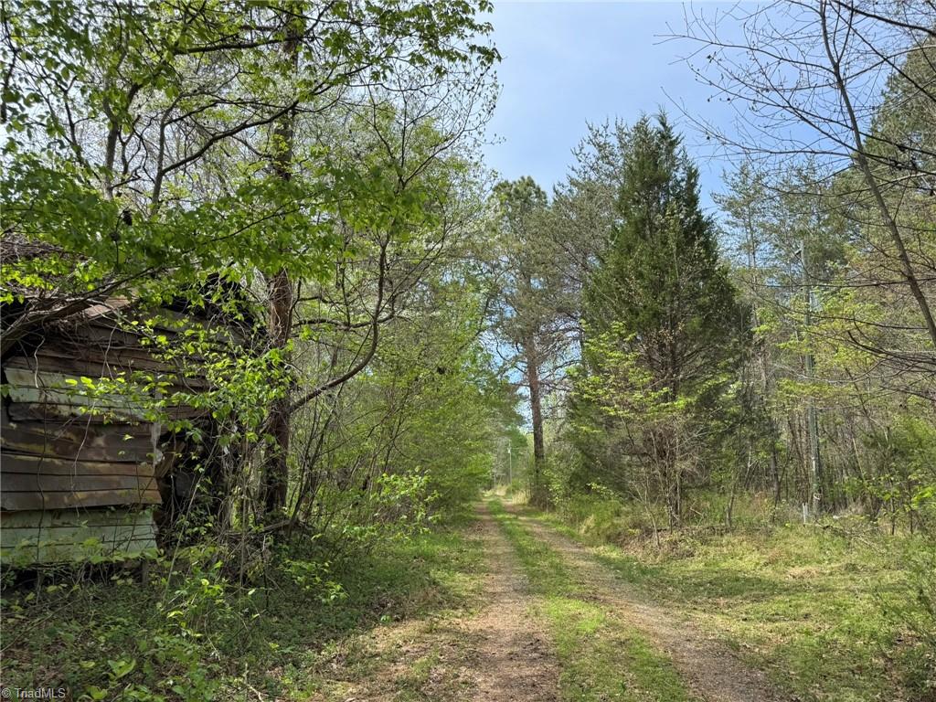 6988 Salem Chapel Road Walnut Cove, NC 27052 - Photo 7 of 38