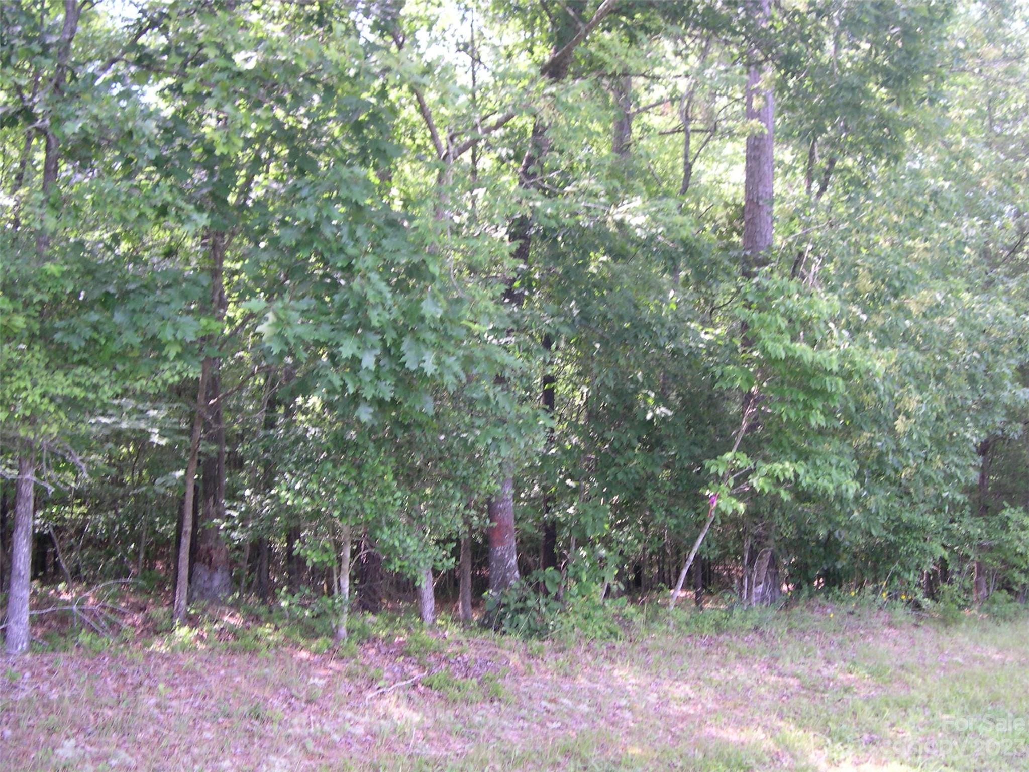 0 Pekin Road, Unit 2 Troy, NC 27371 - Photo 3 of 4 a view of forest