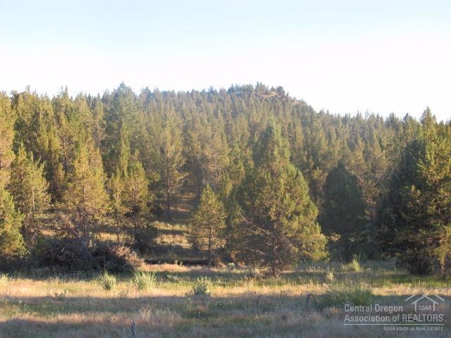 0 Northeast Cody Ridge Road Post, OR 97754 - Photo 21 of 25 Additional Photo