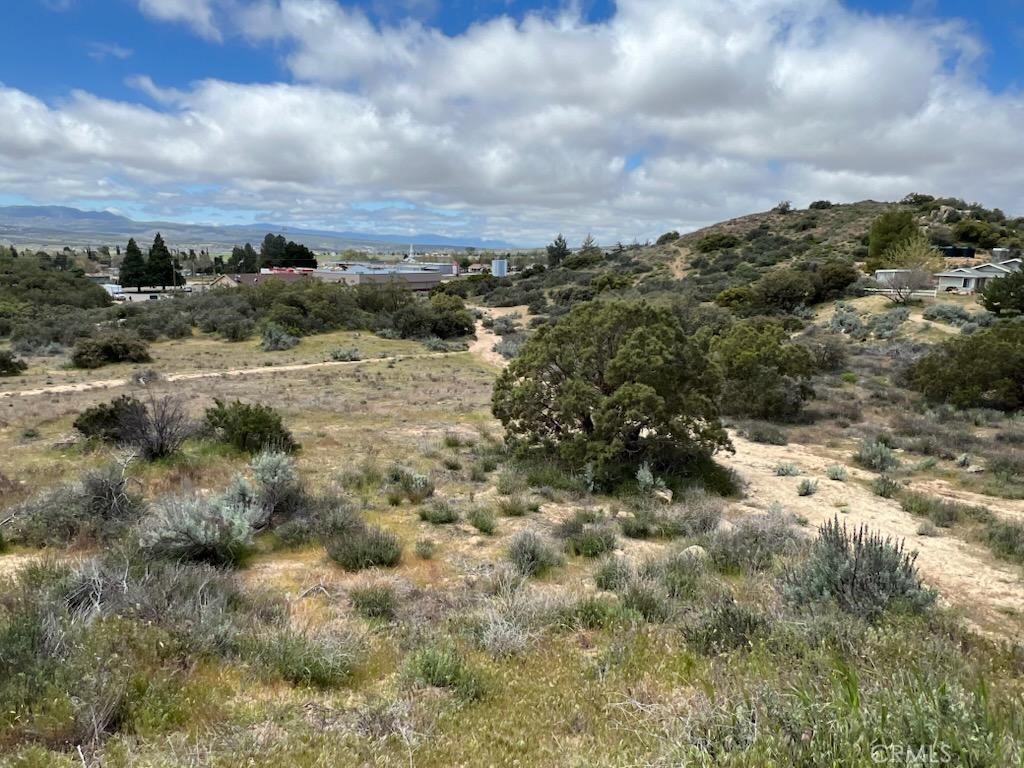 56735 Cain Road Anza, CA 92539 - Photo 2 of 9 a view of a building