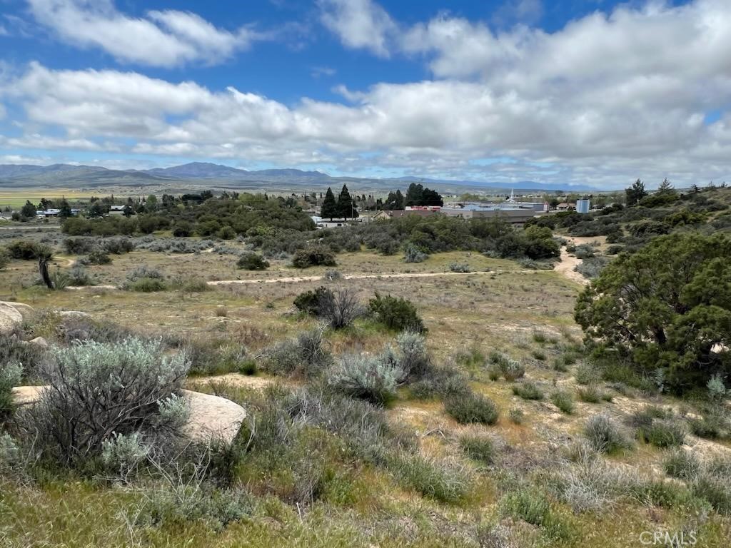 56735 Cain Road Anza, CA 92539 - Photo 3 of 9 a view of a dry yard with lots of trees