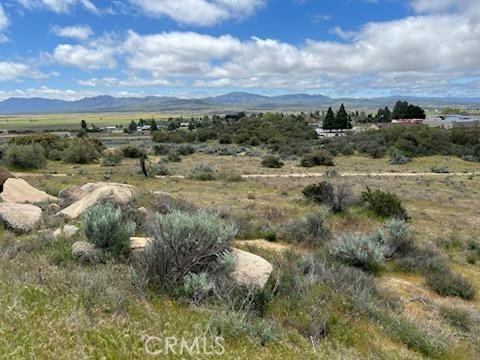 56735 Cain Road Anza, CA 92539 - Photo 4 of 9 a view of a bunch of trees in a field