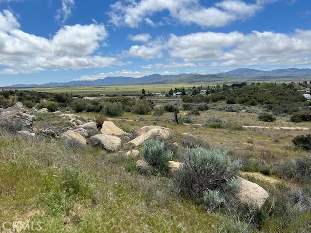 56735 Cain Road Anza, CA 92539 - Photo 5 of 9 a view of a dry yard with green space