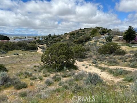 56735 Cain Road Anza, CA 92539 - Photo 7 of 9 a view of a yard