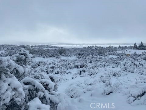 56735 Cain Road Anza, CA 92539 - Photo 8 of 9 a view of a dry field with trees in the background