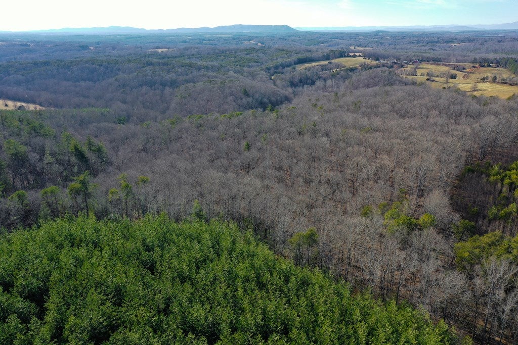 1084 Hedge Road Chatham, VA 24531 - Photo 58 of 75 Gallery Image 58