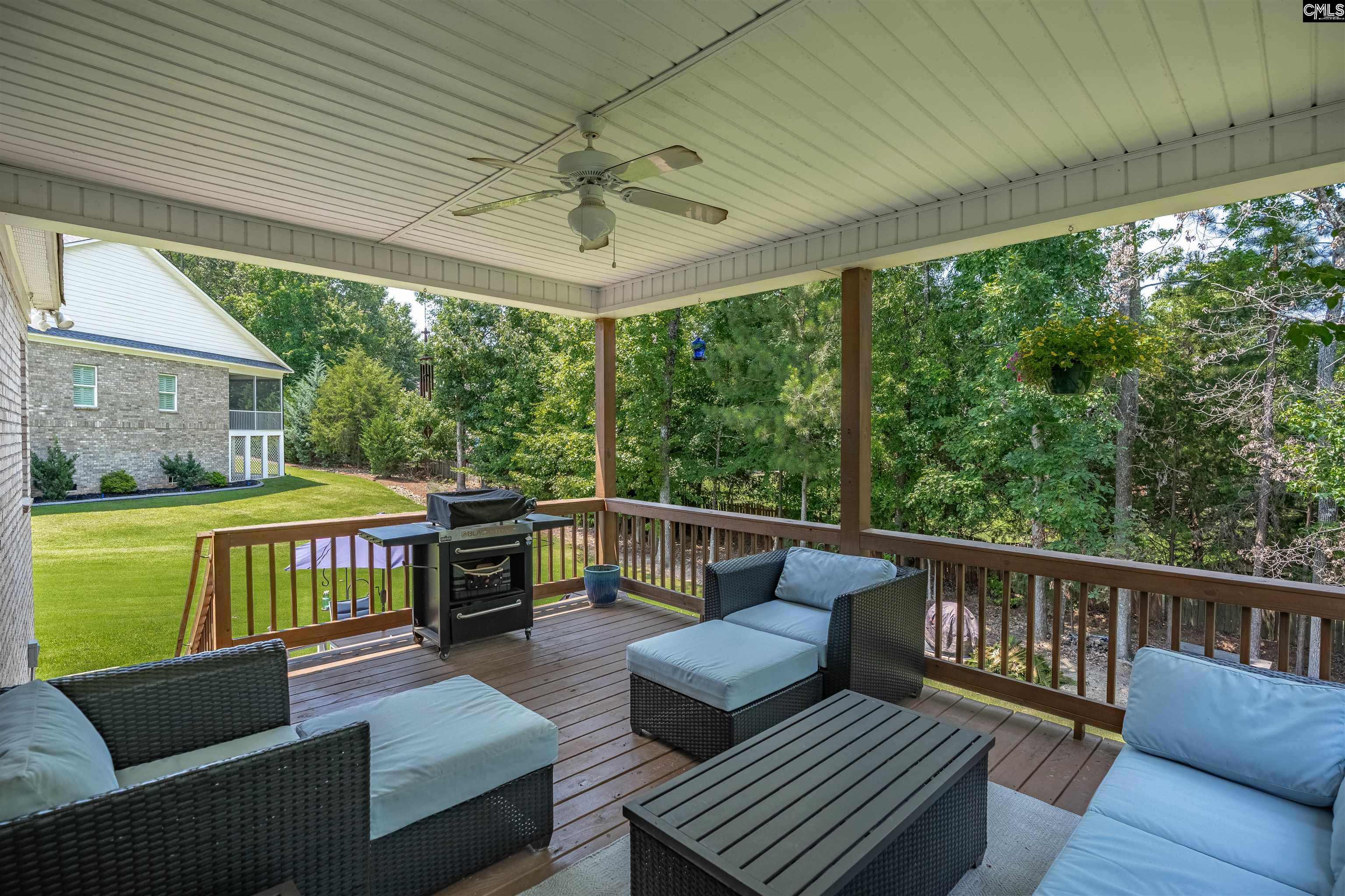 238 Hilton View Court Chapin, SC 29036 - Photo 39 of 63
