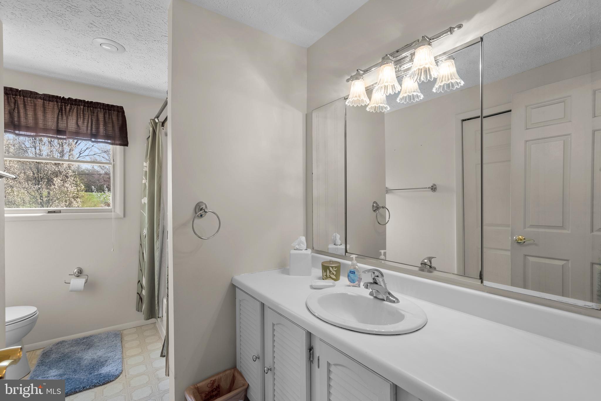 8745 Cardinal Forest Circle Laurel, MD 20723 - Photo 30 of 43 a bathroom with a sink and a mirror
