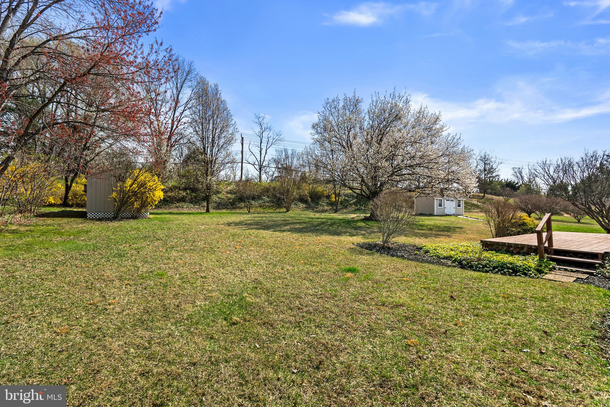 8745 Cardinal Forest Circle Laurel, MD 20723 - Photo 42 of 43 a view of a park with large trees
