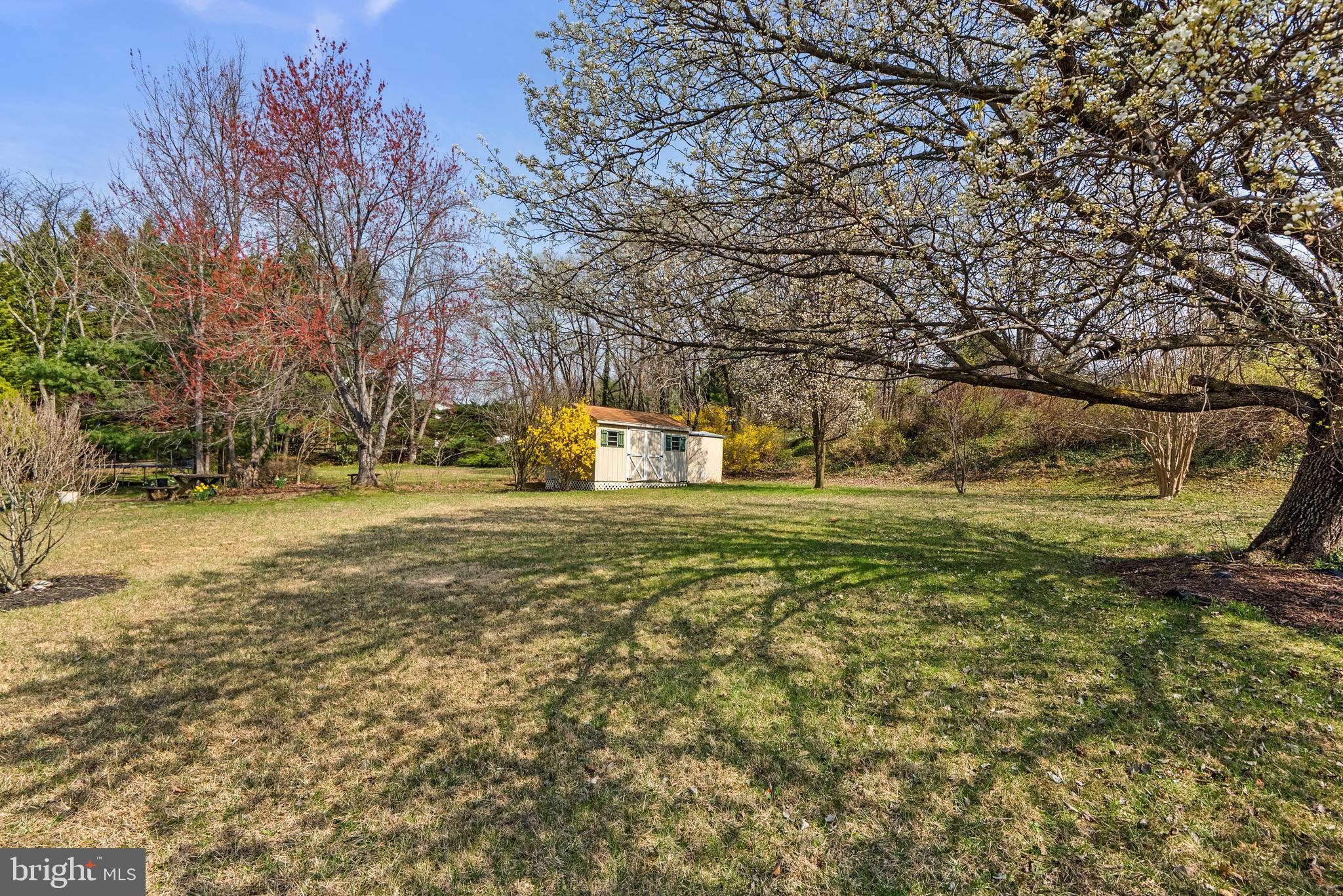 8745 Cardinal Forest Circle Laurel, MD 20723 - Photo 43 of 43 a view of yard with green space