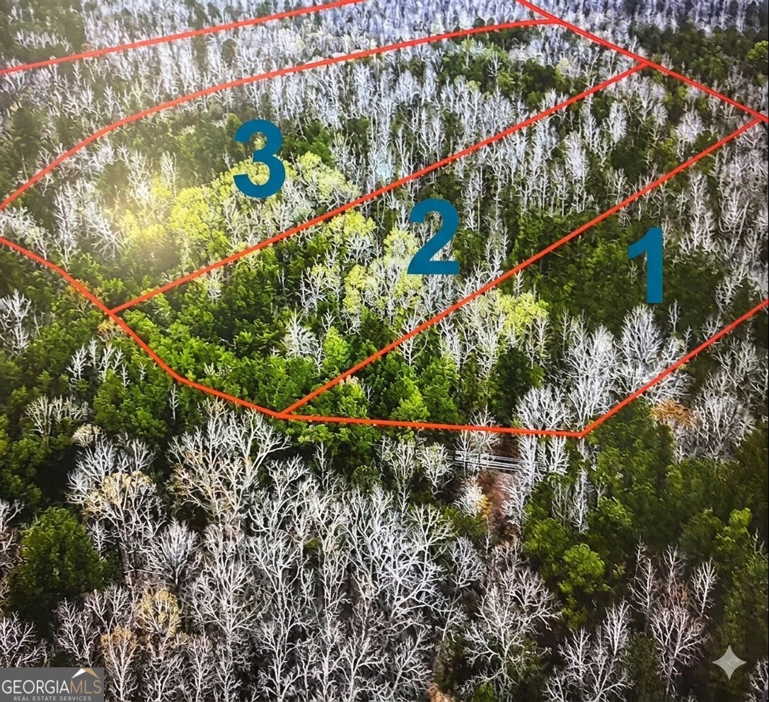 0 Hopeful Road, Unit LOT 2 Munford, AL 36268 - Photo 2 of 12