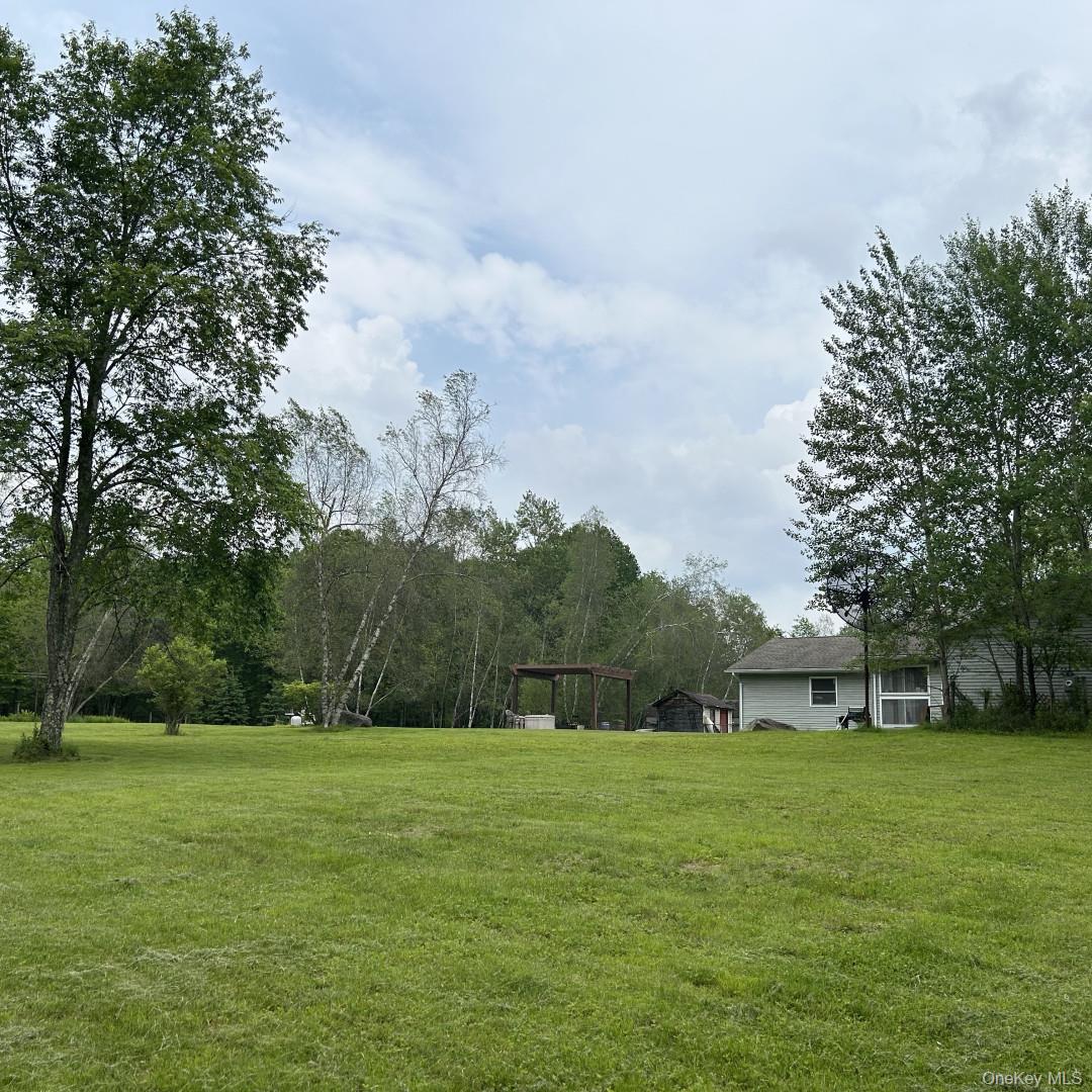 69 Crabby Road Loch Sheldrake, NY 12759 - Photo 4 of 20 a view of green field