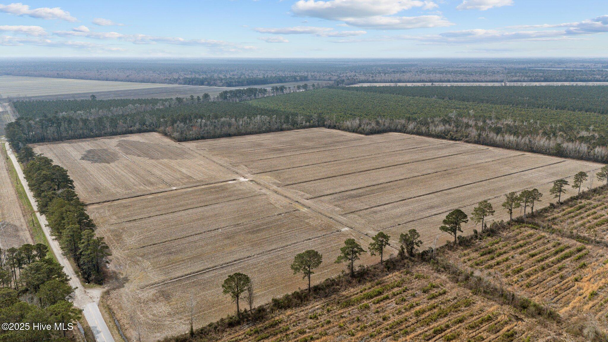 0 Neals Creek Road Bayboro, NC 28515 - Photo 1 of 32 15-web-or-mls-DJI_20250313115607_0052_D