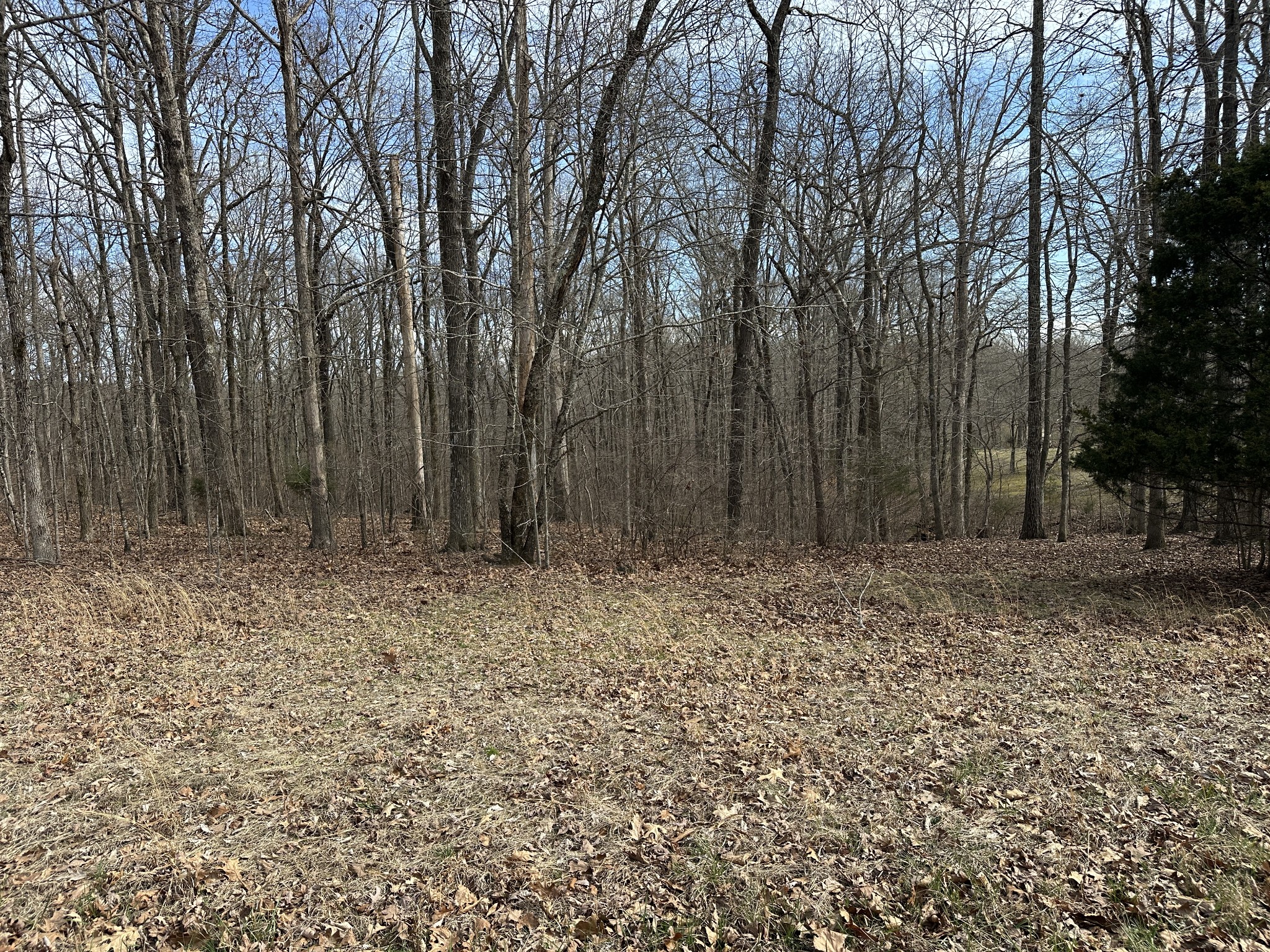 0 Rouse Road Dickson, TN 37055 - Photo 11 of 11 a wooden fence with trees in the background