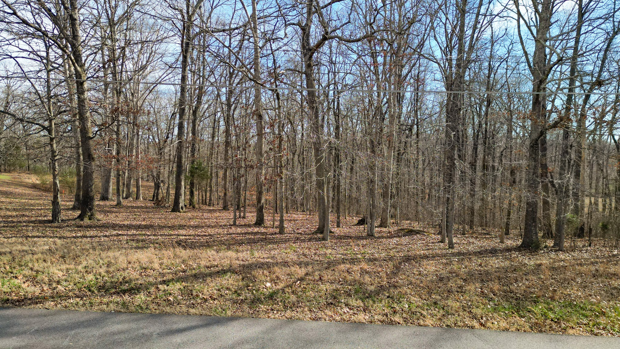0 Rouse Road Dickson, TN 37055 - Photo 2 of 16 a view of outdoor space with trees