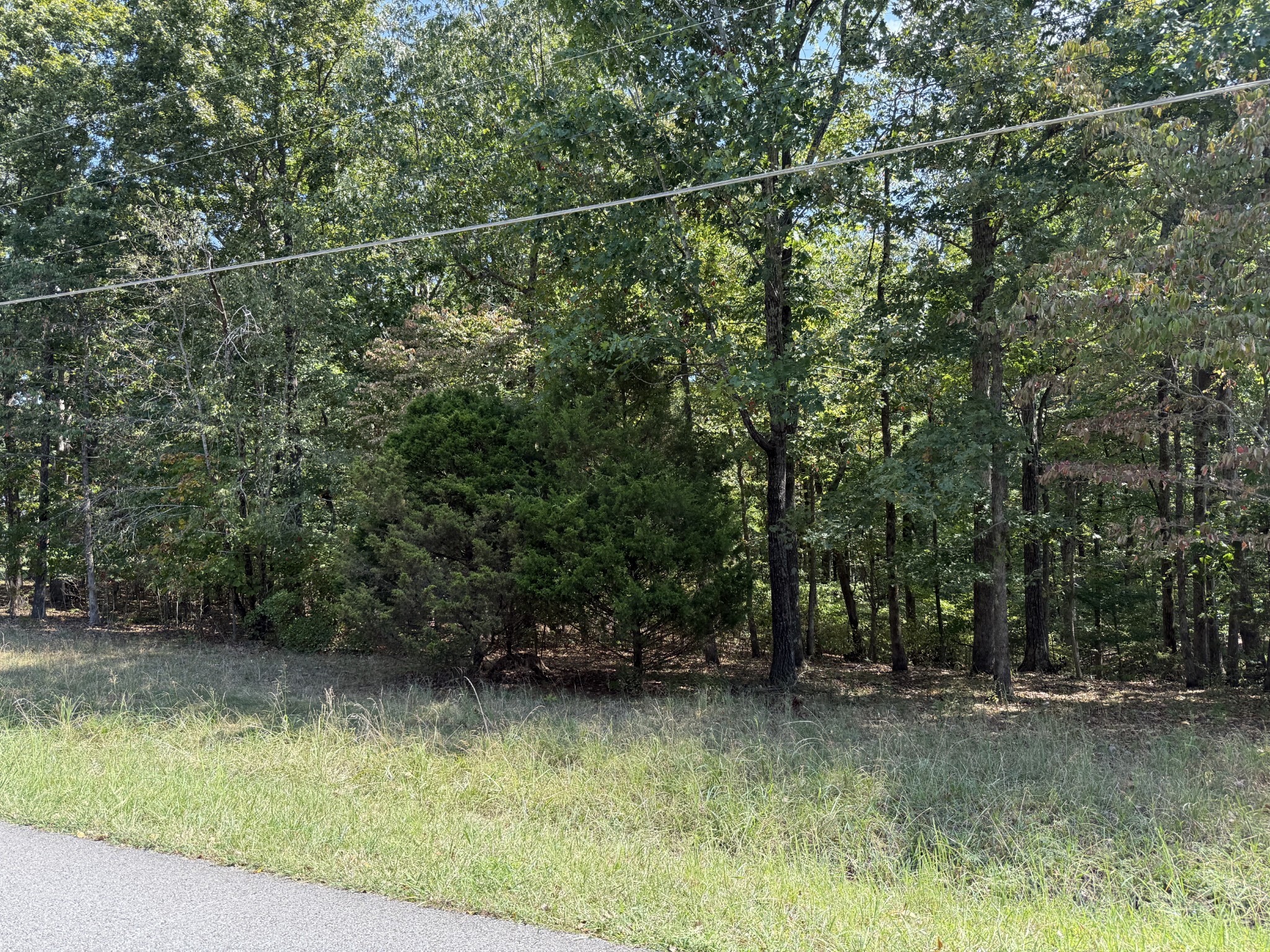 0 Rouse Road Dickson, TN 37055 - Photo 4 of 11 a view of a yard with large trees