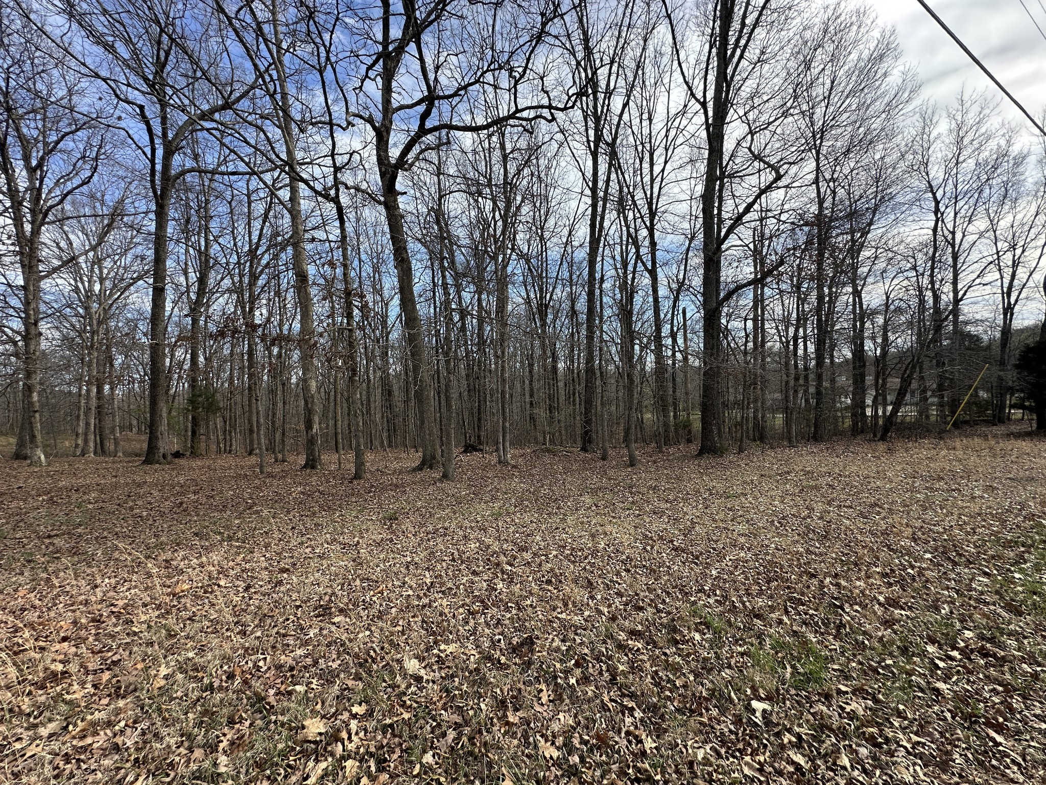 0 Rouse Road Dickson, TN 37055 - Photo 7 of 11