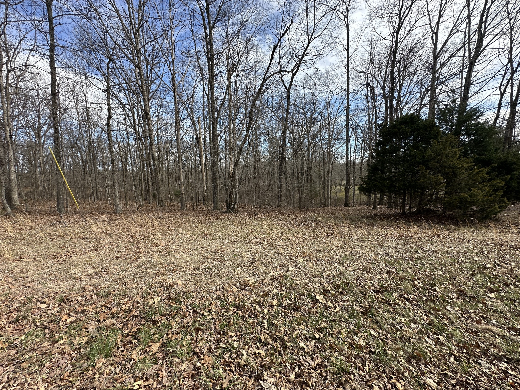 0 Rouse Road Dickson, TN 37055 - Photo 9 of 11 a backyard of a house with lots of green space