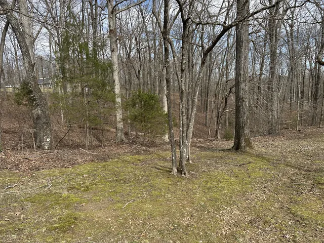 a wooden fence with trees in the background