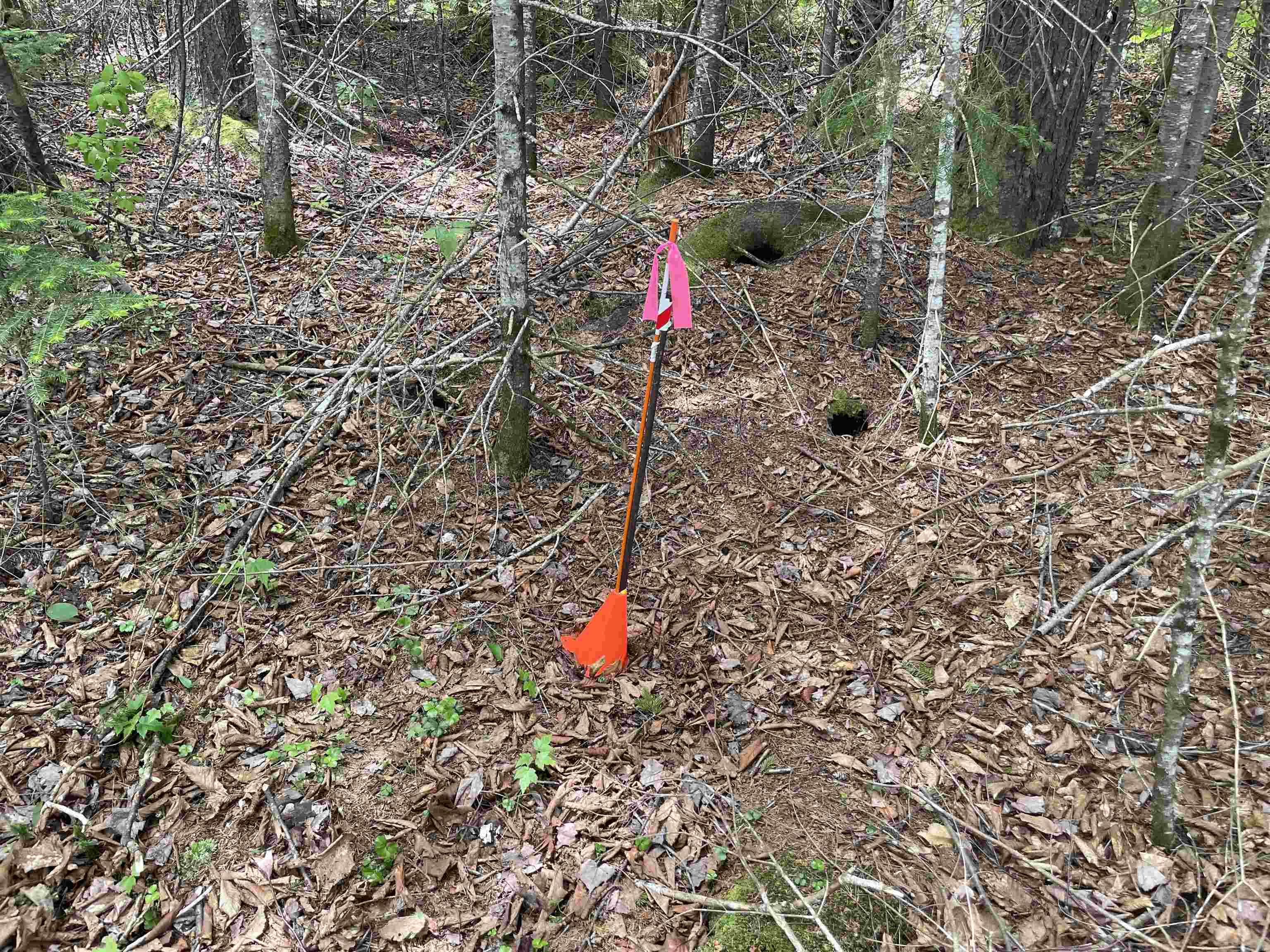 63 Bradley Road Averill, VT 05901 - Photo 30 of 34