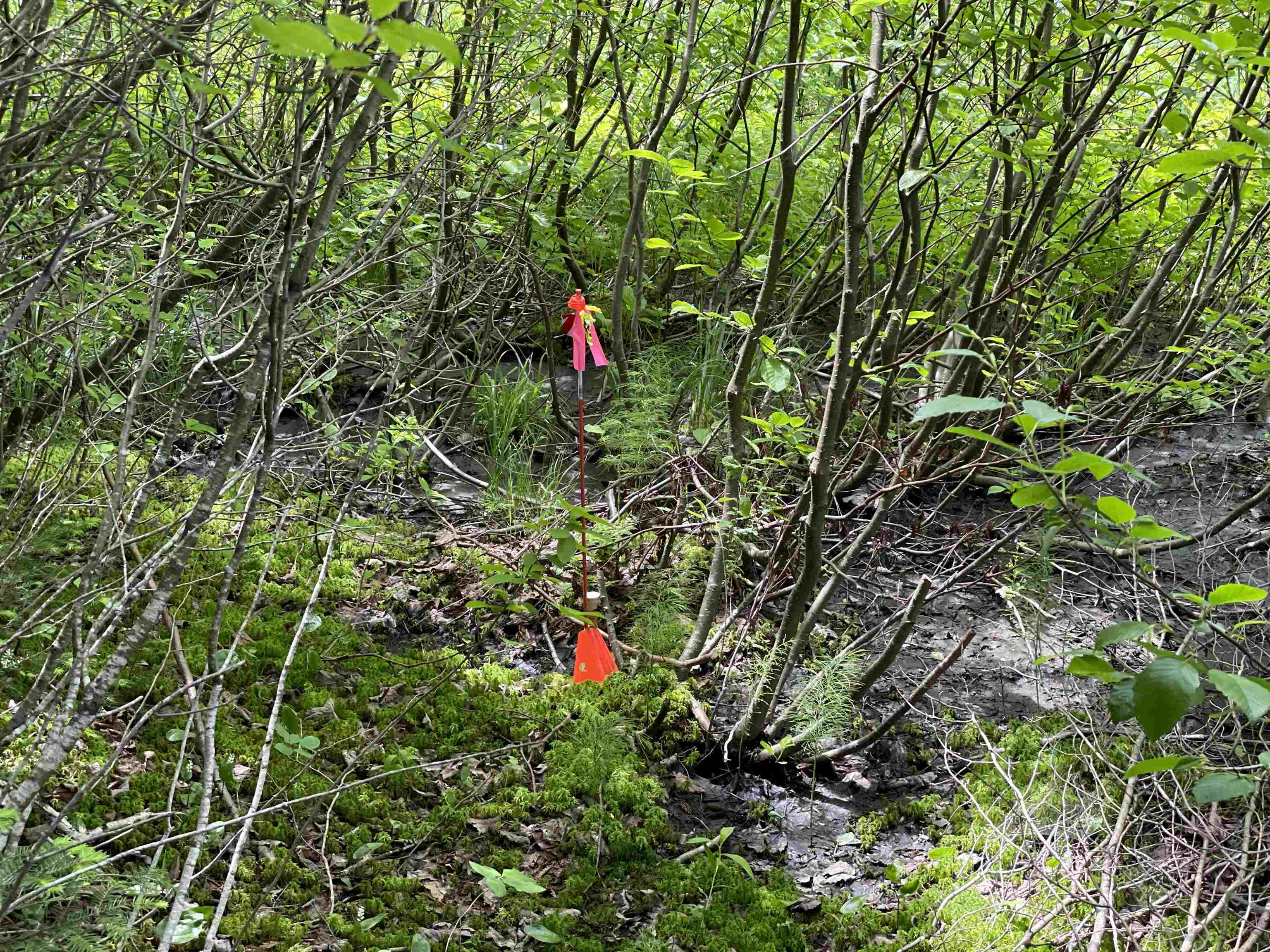 63 Bradley Road Averill, VT 05901 - Photo 31 of 34