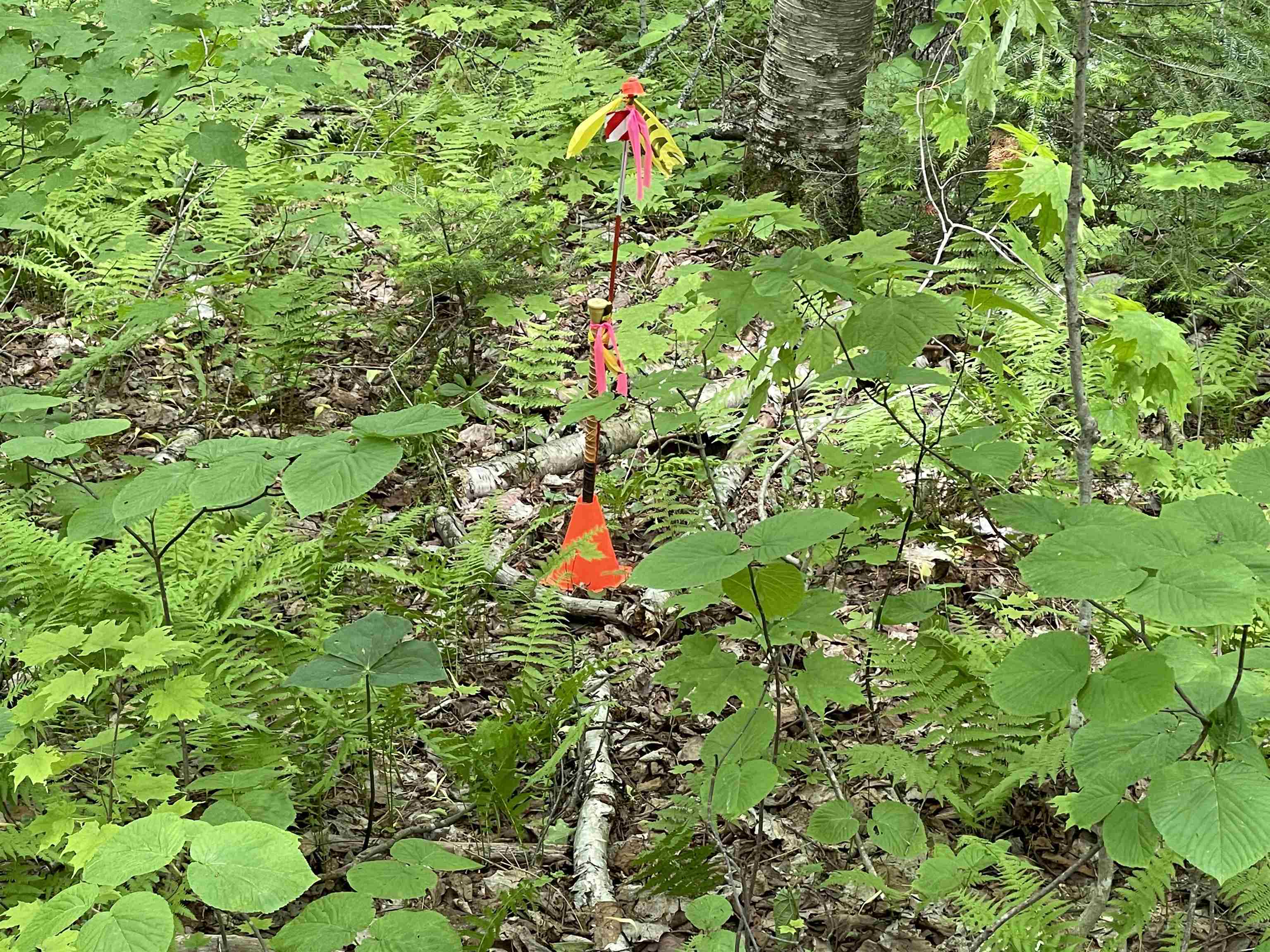63 Bradley Road Averill, VT 05901 - Photo 32 of 34