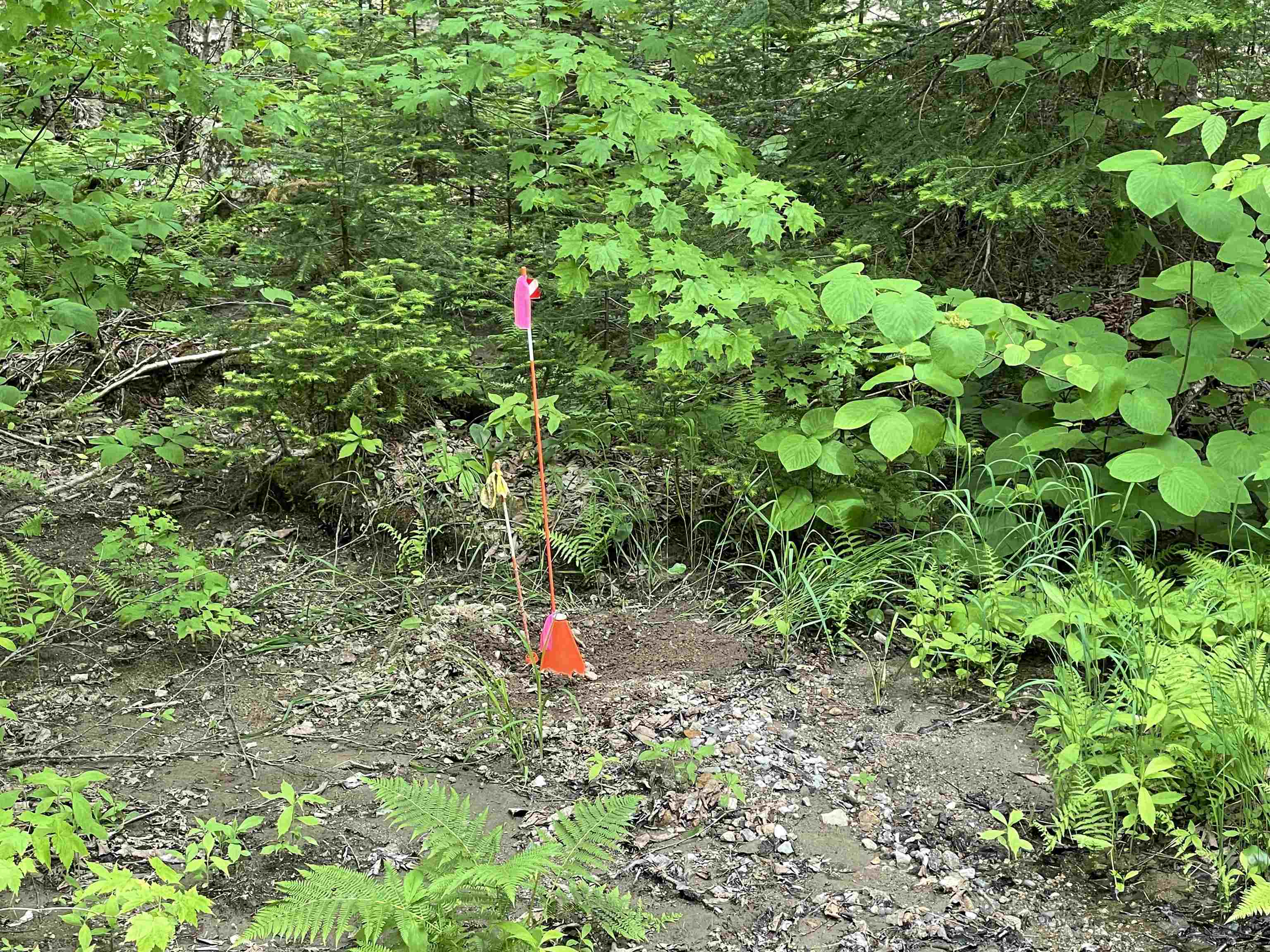 63 Bradley Road Averill, VT 05901 - Photo 33 of 34