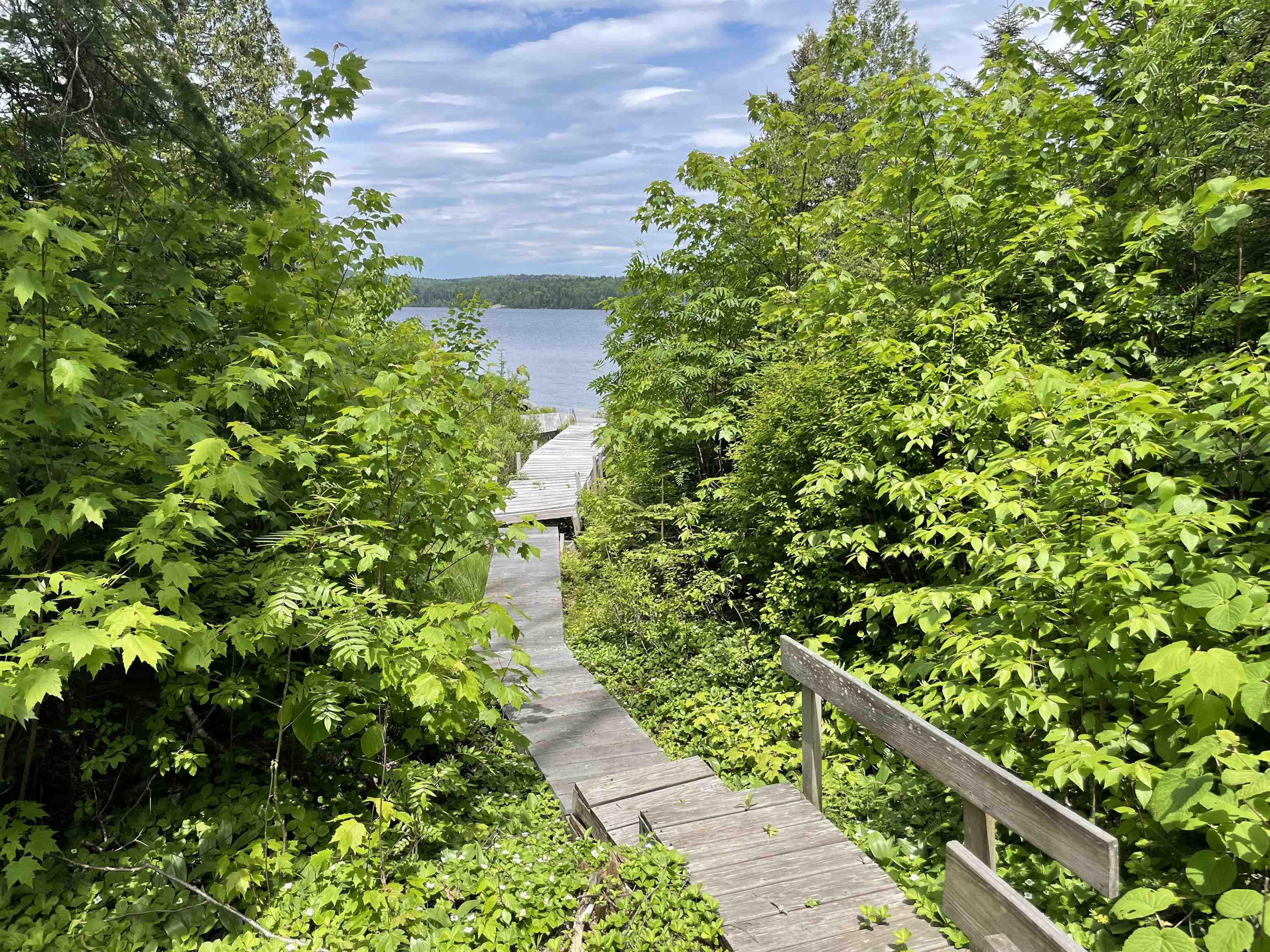 63 Bradley Road Averill, VT 05901 - Photo 4 of 34